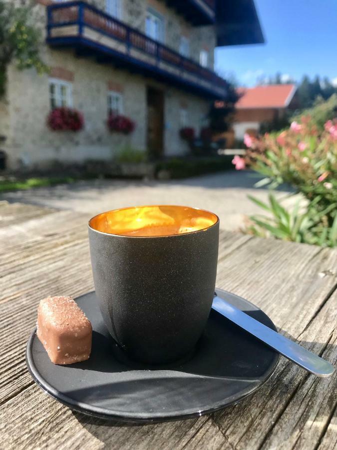 Haus Dreiseenblick - Adults Only Rimsting Esterno foto